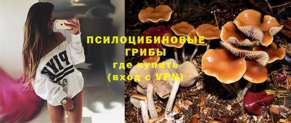 молекула духа Алзамай