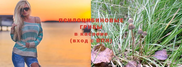 молекула духа Алзамай