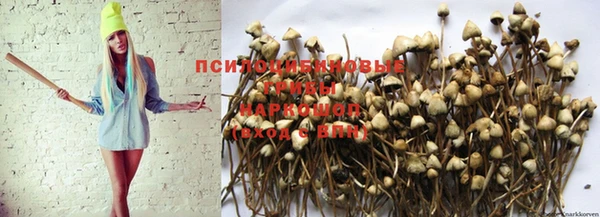 Альфа ПВП Алексин