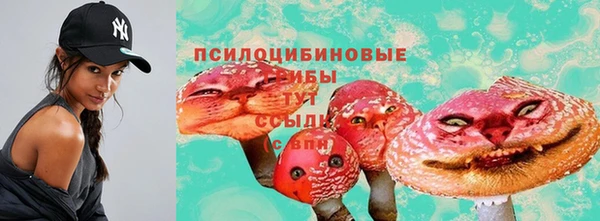молекула духа Алзамай