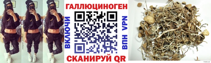 Псилоцибиновые грибы MAGIC MUSHROOMS  сколько стоит  Сухиничи 