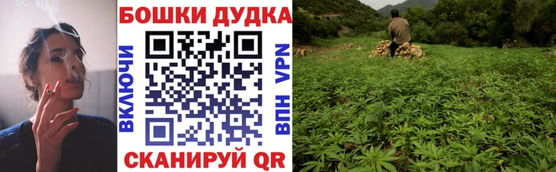 МАРИХУАНА сатива  наркошоп  Сухиничи 